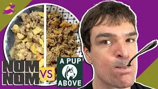 Nom Nom vs A Pup Above (I Eat These Fresh Dog Foods)