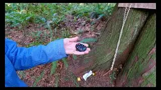 telephone of the wind