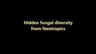 Hidden fungal diversity from Neotropics - Genus Geastrum, earthstar fungi.
