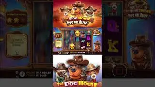 Занос в старом добром The Dog House #заносынедели #казино #казиноонлайн