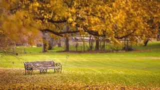 Fall 2021 Iowa