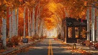 Autumn Coffee Shop Tucked in a Birch Forest 🍂 Tranquil Jazz Vibes for Studying, Working & Relaxing