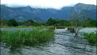 Malampuzha beautiful landscape shorts vibrant colours 1080p HD