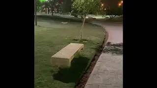 جذر المشاعر السلبية