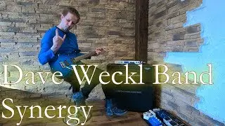 Dave Weckl Band - Synergy - Buzz Feiten&acute;s guitar solo