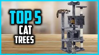 ✅ Top 5 Best Cat Trees of 2025