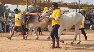 నరసరావుపేట రెండు పళ్ళు 15 జత_దారం శ్రీలత గారు_కురగల్లు గ్రామం_ముడెల కీర్తన గారు