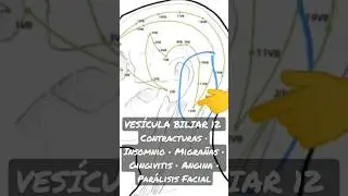 VES&Iacute;CULA BILIAR 12 &bull; Contracturas &bull; Insomnio &bull; Migra&ntilde;as &bull; Gingivitis &bull; Angina &bull; Par&aacute;lisis Facial