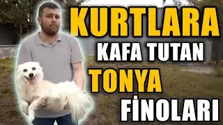 Türkiye'nin İlk ve Tek Tonya Finosu Çiftliği! - Reşat Devran Aydın