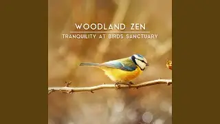 Singing Harmony
