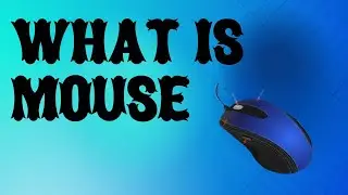 what is mouse