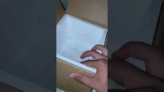 How to ship geckos