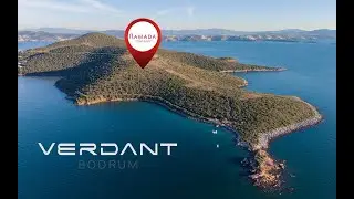 Welcome to Verdant Bodrum. 🌿🌊