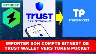 🚨Importer un portefeuille TRUST WALLET vers TOKEN POCKET 🚨