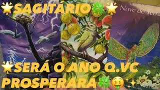 ♐️SAGITÁRIO🌟2026🍀TRARÁ TODOS🤑RECURSOS💸NECESSÁRIOS🍀P/VC PROSPERAR🤑(30/12/2025)🍀🤑🌟⭐️✨💫
