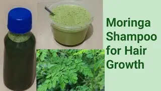 How to make Moringa Shampoo that stops Breakage and promote Hair Growth || Hair growth secret🤫