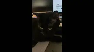 Loop