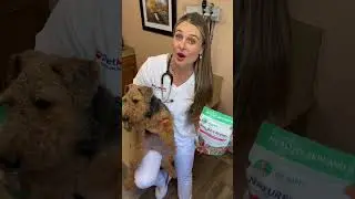 Freeze Dried Raw Pet Food! #freezedriedpetfood #dogfood #rawdogfood