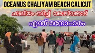 Chaliyam Beach Kozhikode | ഒരു രക്ഷ ഇല്ലാത്ത കാഴ്ച അടിപൊപി ബീച്ച് | Oceane Chaliyam Beach Calicut |