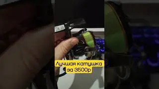 Daiwa серии LT - хорошие рабочие лошадки!#рыбалка #fishing #микроджиг #daiwa