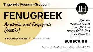Fenugreek: Trigonelline, Glycoside, Holistic Bodybuilding and Sports #holisticdiet #ancientfoods