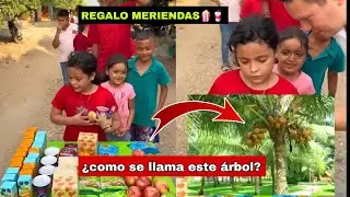 🎁😱regalo meriendas si dicen los árboles frutales🌴✅️