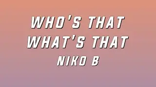Niko B - Who's That What's That (Lyrics)