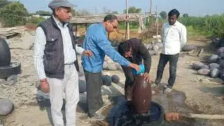 Narmadeshwar shivling/8103481032 #narmadeshwarshivling #narmadashivling