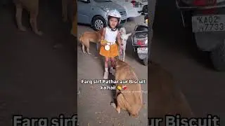 #Love #Stray #Dog #street #dogs #save #independenceday #aadhunikgurukul