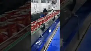 Buffer conveyor
