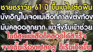 ชายชราวัย 61ปี ขึ้นเขาไปตัดฟืน บังเอิญพบเสือตั้งท้องที่กำลังคลอดลูกยาก จึงช่วยให้มันคลอดลูกได้สำเร็จ