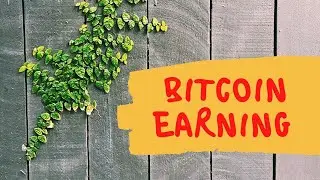 Bitcoin Payout Request Error (gg2u.org) Fack Survey Website Solution