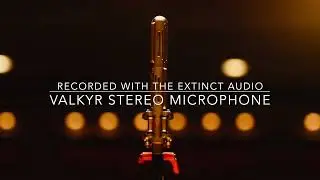 Ex Cathedra - Conducted by Jeffrey Skidmore.