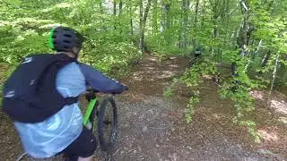 Monte Martica MTB: Discesa Al Brinzio /WTG