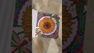 Dreamland publications mandala colouring book 3 #shorts #youtubeshorts