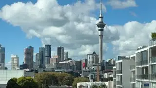 A day in Auckland | Kauri Glen Reserve, Japanese cafe and the Auckland City View | NZ Travel Vlog