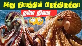 😲&ldquo;இது நிலத்தில் பிறந்திருந்தால் நம்ம நிலம?|🐙 Shocking Facts About Octopus Tamil| Fact of creatures|