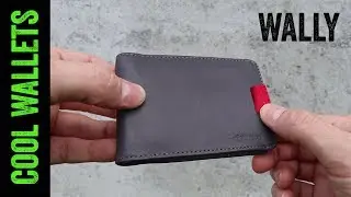 Wally Wallet DETAILED REVIEW