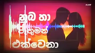 Nuba_ha pathuman ekwena_(රෑ_හද_යාමේ)new sond hub song ❤️#like #for#more#foryou