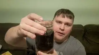 Pennsylvania Dutch Birch Beer Soda Review
