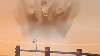 Wither storm appear in real life