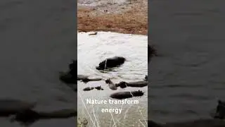 the beauty of Nature #nature #adventure #love #sustainability #sustainableliving #animals #conserve