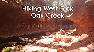 Hiking West Fork Oak Creek Sedona