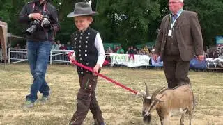 21. Harzer Landwirtschaftsfest Reinstedt