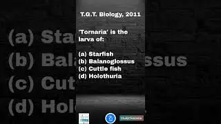 Tornaria is the larva of? TGT PGT Biology PYQ