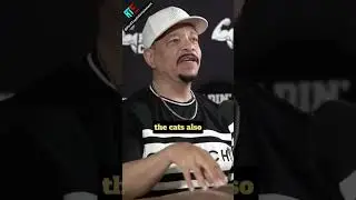 I was never a GANG banger i was a gangster rapper [Ice T]