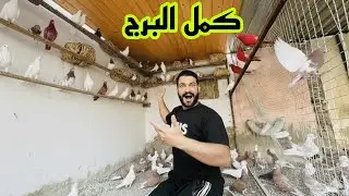 اكمال برج الحمام #الفرقه الضاربة 
