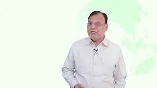 Green Economy, A solution to India's slowdown