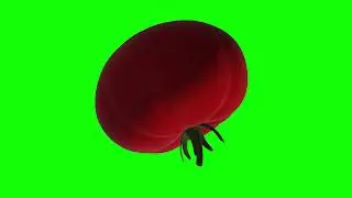 Green Screen: 3D tomato plots. Footage vegetable, tomato on a green background.