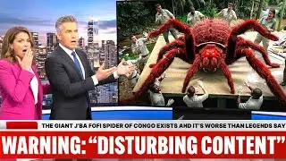 New DNA Tests On The Giant J'Ba Fofi Spider In Congo Reveal A Terrifying Genetic Anomaly